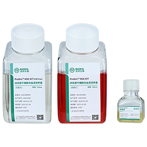 間充質(zhì)干細(xì)胞無(wú)血清培養(yǎng)試劑盒,無(wú)血清培養(yǎng)基,MSC無(wú)血清培養(yǎng)