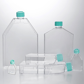 細胞培養瓶,塑料細胞培養瓶,透明細胞培養瓶