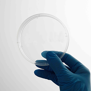 CellDETACH?溫敏細胞培養(yǎng)器,溫度感應(yīng)細胞培養(yǎng)表面