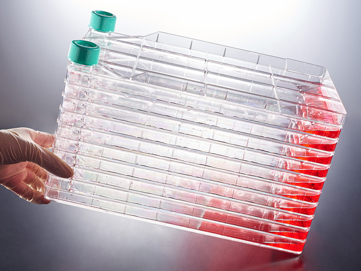 內頁720×540 拷貝1.jpg