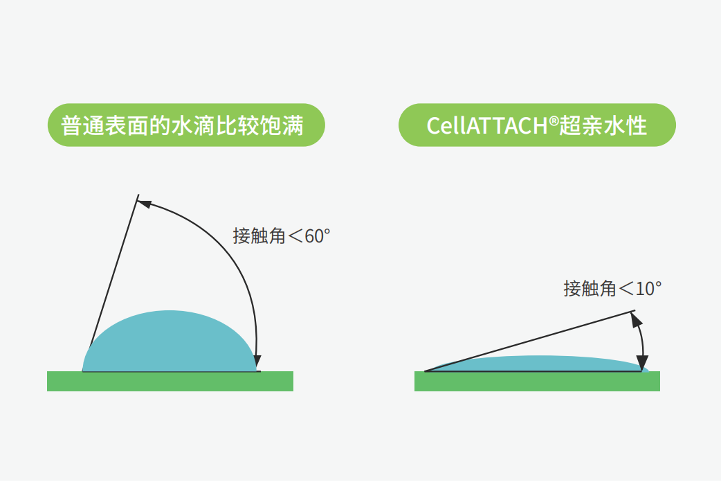 獨(dú)特的超親水表面處理技術(shù)，能為細(xì)胞提供更好的吸附性，促進(jìn)細(xì)胞快速貼壁生長，提高產(chǎn)量
