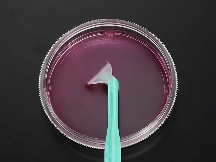 內頁720×540 拷貝.jpg