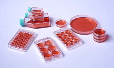 細胞培養板/瓶/皿常見問題