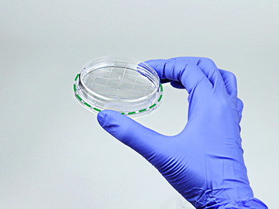 皿底抬高與邊緣持握設計， 方便握取與操作，穩定疊放不易倒