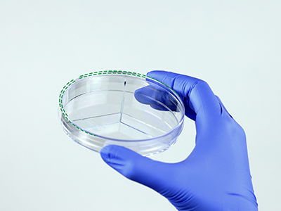 皿蓋邊緣突起設計，有利于培養皿穩定疊放